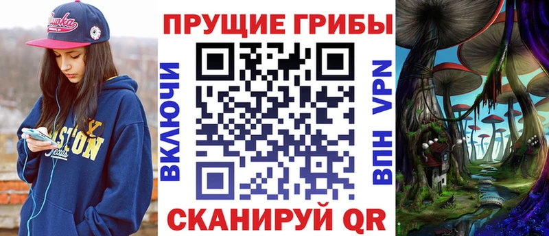 Купить где  Дигора  Псилоцибиновые грибы ЛСД 