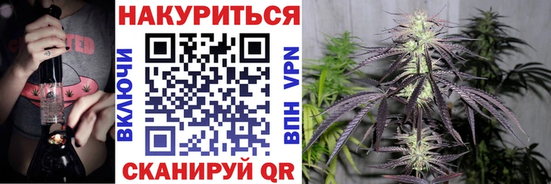 Бошки Шишки White Widow  Купить где  Дигора 
